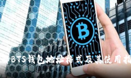 详解BTS钱包地址格式及其使用指南