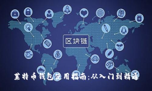 莱特币钱包使用指南:从入门到精通