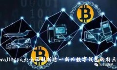 Instawalletpay：全面解析这一