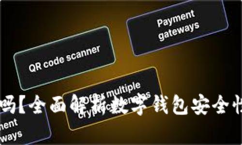 86钱包靠谱吗?全面解析数字钱包安全性与使用体验