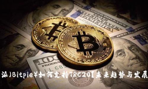 比特派（Bitpie）如何支持TRC20？未来趋势与发展分析