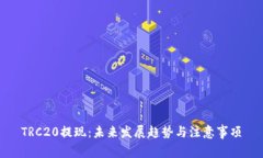 TRC20提现：未来发展趋势与