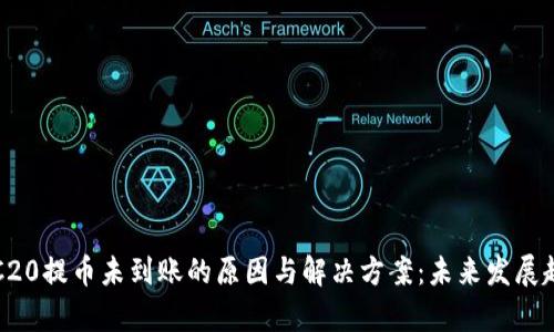 揭示TRC20提币未到账的原因与解决方案：未来发展趋势分析