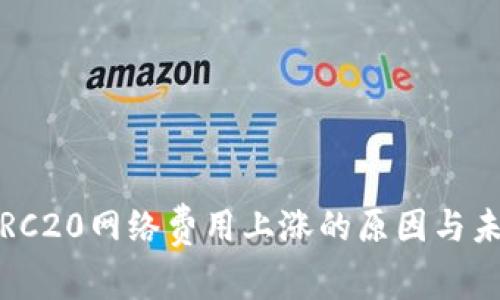 深入探讨：TRC20网络费用上涨的原因与未来趋势分析