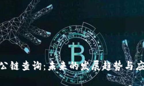 TRC20公链查询：未来的发展趋势与应用分析