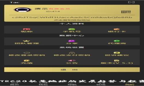 未来波场TRC20靓号地址的发展趋势与投资价值分析