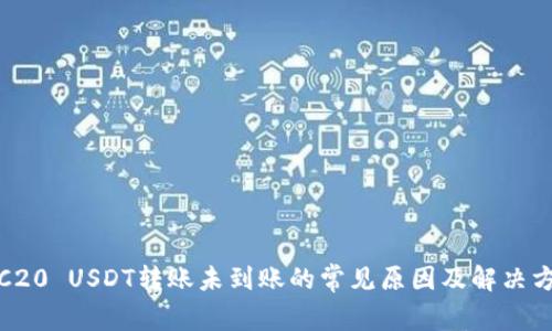 TRC20 USDT转账未到账的常见原因及解决方案