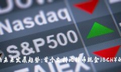  BCH钱包的未来发展趋势：