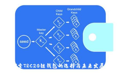 探索TRC20链钱包的选择与未来发展趋势