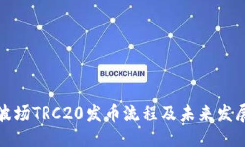 揭秘波场TRC20发币流程及未来发展趋势