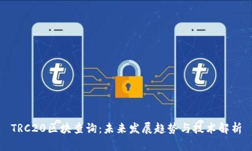 TRC20区块查询：未来发展趋势与技术解析