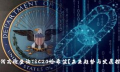 如何高效查询TRC20哈希值？