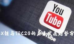 TRX链与TRC20的未来发展趋势