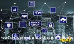 TRC20代币增发的未来发展趋