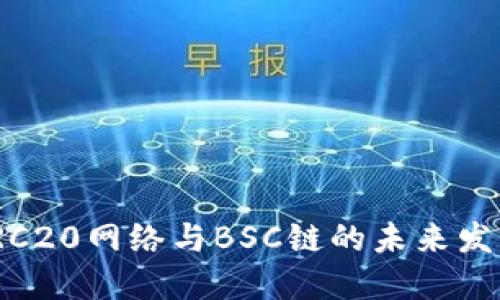 探讨TRC20网络与BSC链的未来发展趋势
