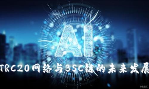 探讨TRC20网络与BSC链的未来发展趋势
