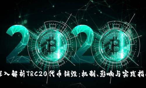 深入解析TRC20代币销毁：机制、影响与实践指南