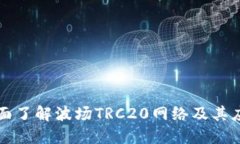 全面了解波场TRC20网络及其