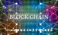 TRC20技术解析与孙晨宇的创