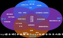 Gopay安全吗？全面解析Go