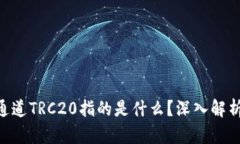 hiaoti提币通道TRC20指的是什