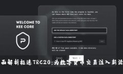 全面解析极速TRC20：为数字