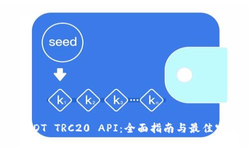  USDT TRC20 API：全面指南与最佳实践