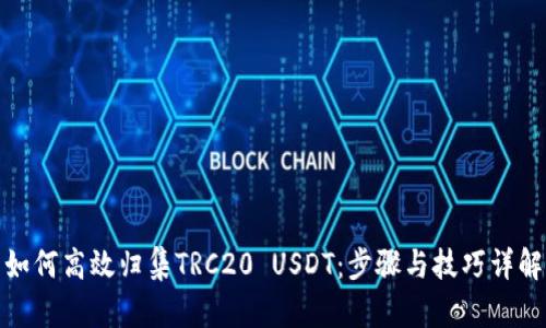 如何高效归集TRC20 USDT：步骤与技巧详解