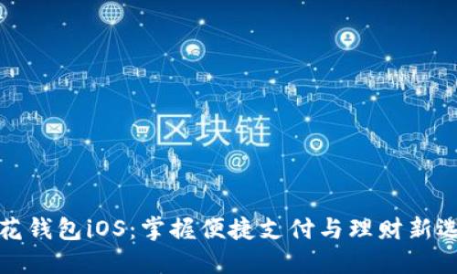 快花钱包iOS：掌握便捷支付与理财新选择