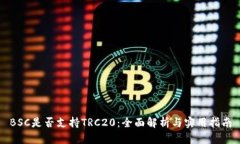 BSC是否支持TRC20：全面解析