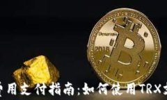 TRC20网络费用支付指南：如